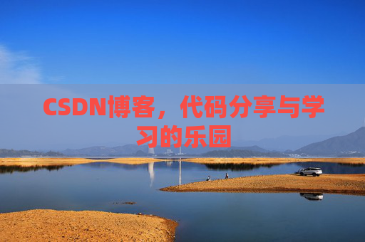 CSDN博客，代码分享与学习的乐园
