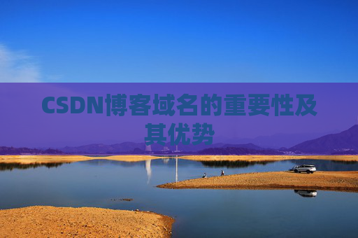 CSDN博客域名的重要性及其优势